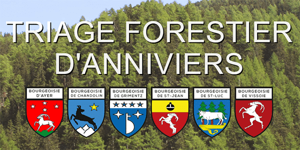Triage forestier d'Anniviers
